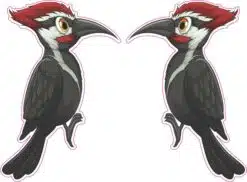 Woodpecker Stickers