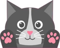 Cat Sticker