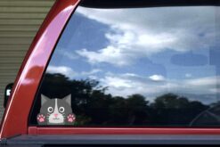 Cat Sticker