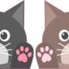 Cat Stickers