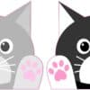 Cat Stickers