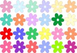 Set of Assorted Flower Stickers