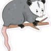 Opossum Sticker