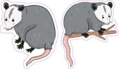 Opossum Stickers