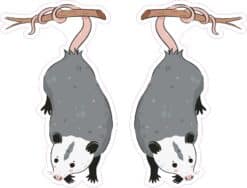 Opossum Stickers