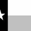 Texas Flag Sticker