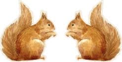 Mirrored Squirrel Stickers