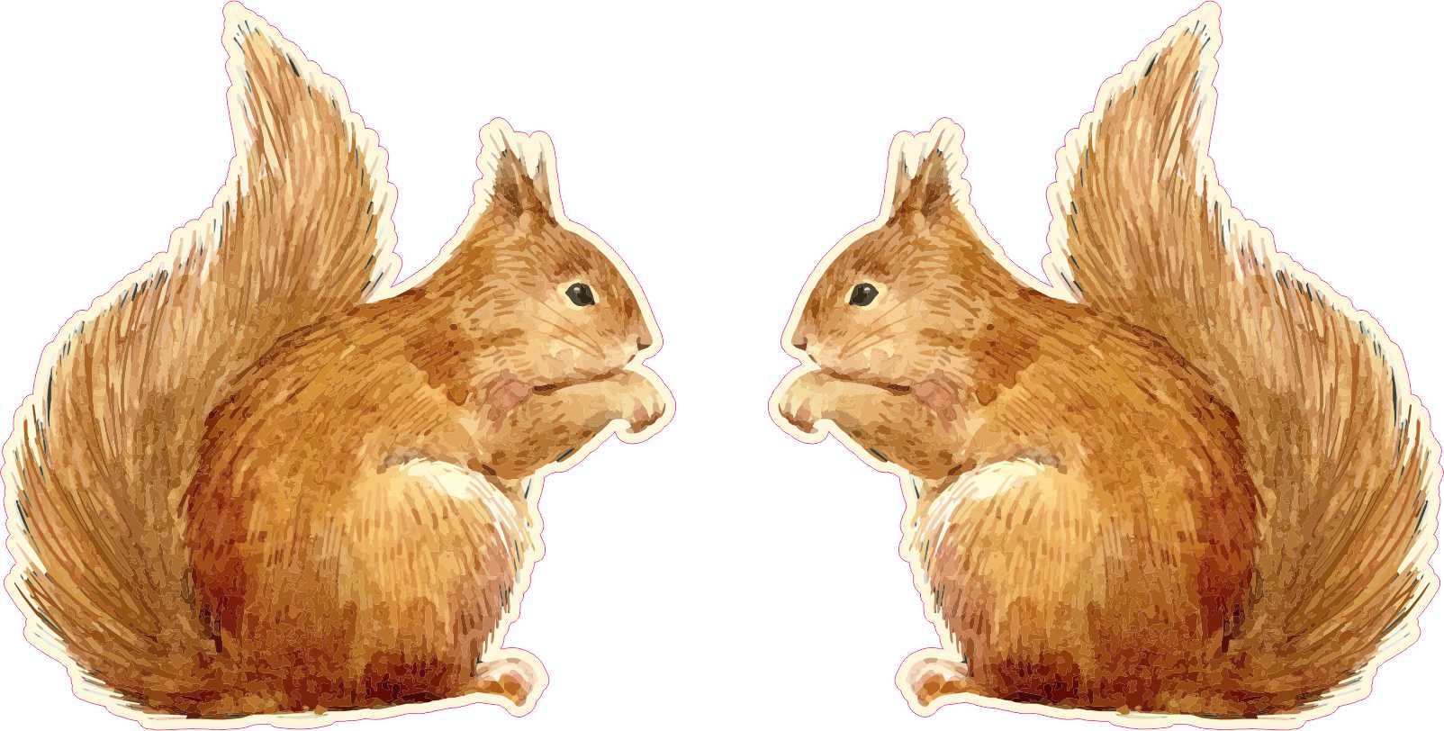 Mirrored Squirrel Stickers