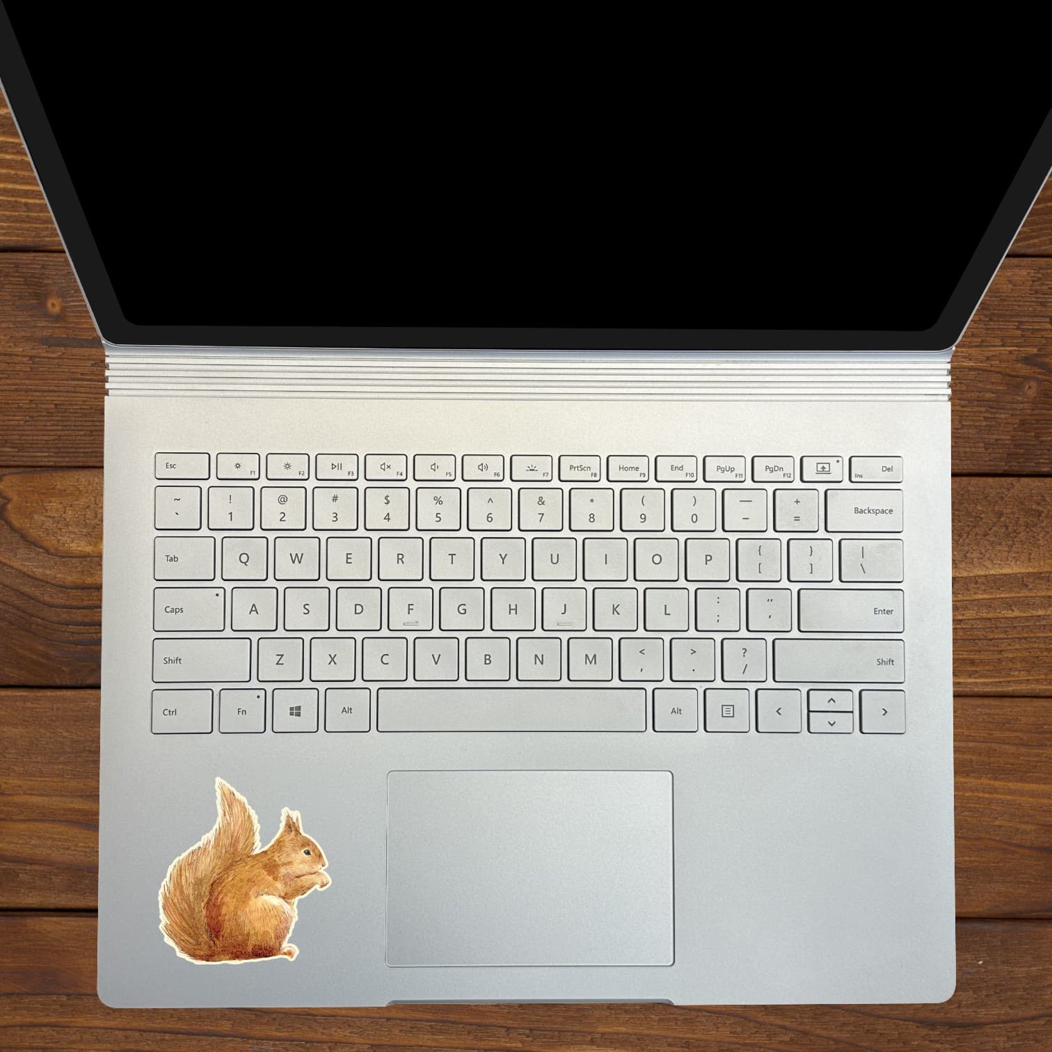 StickerTalk Mirrored Squirrel Stickers, 2.5 inches x 2.7 inches - Image 5