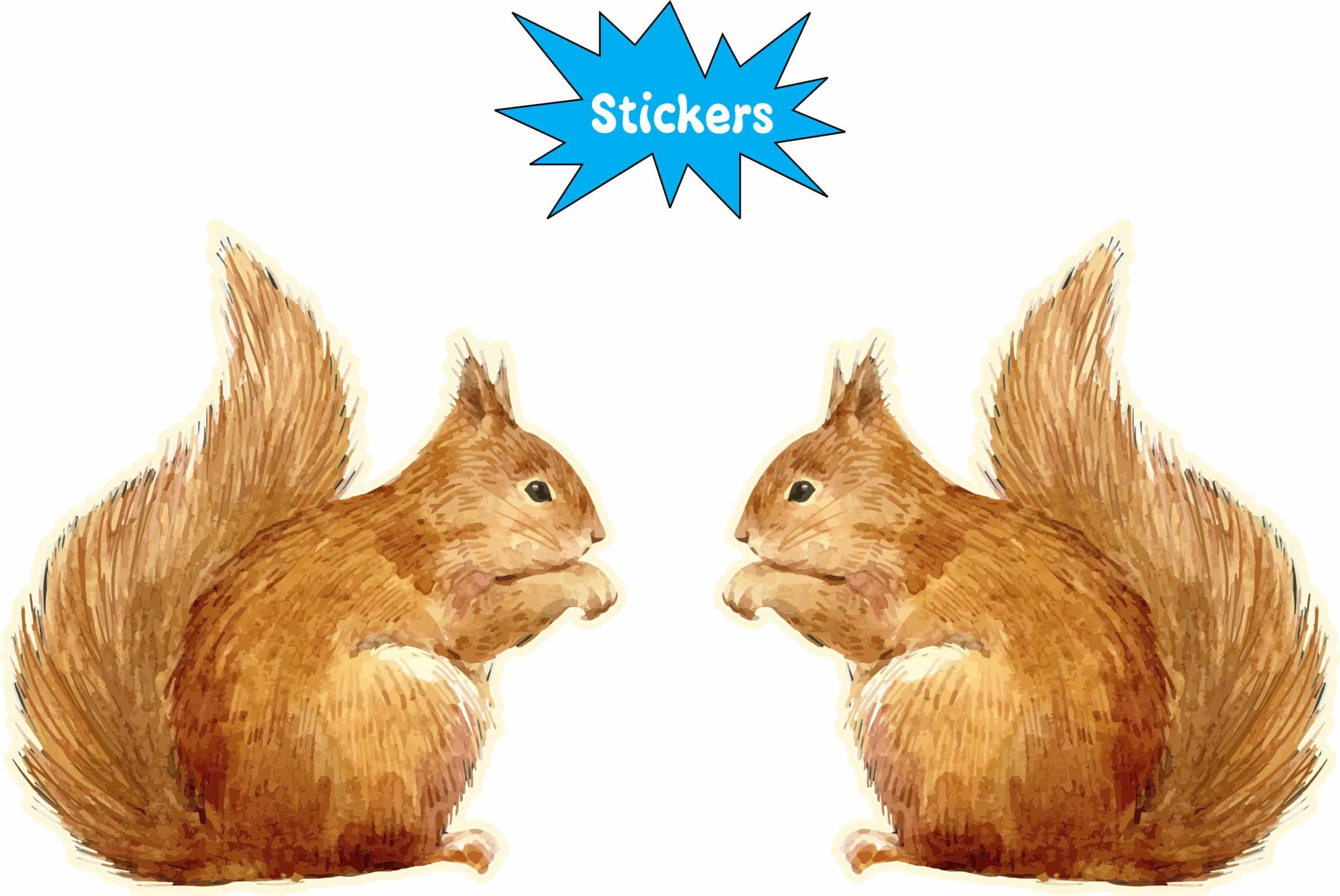 StickerTalk Mirrored Squirrel Stickers, 2.5 inches x 2.7 inches - Image 3