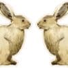 Mirrored Bunny Rabbit Stickers