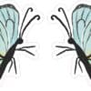 Butterfly Stickers