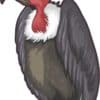 Vulture Sticker