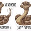 Venomous Not Poisonous Snake Stickers