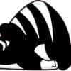 Lazy Cat Sticker