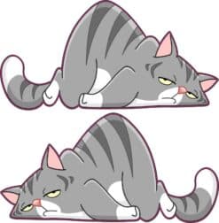 Grey Lazy Cat Stickers