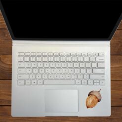 Acorn Stickers