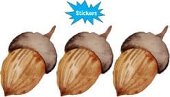Alternative view of StickerTalk Acorn Stickers, 2 inches x 2.5 inches