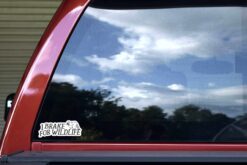 I Brake For Wildlife Sticker