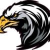 Eagle Head Mascot Sticker