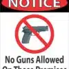 No Guns Allowed Magnet