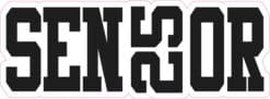 Senior 2025 Vinyl Sticker