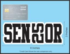 StickerTalk Senior 2025 Vinyl Sticker, 8 inches x 3 inches