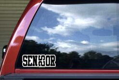 Senior 2025 Vinyl Sticker