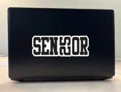 StickerTalk Senior 2025 Vinyl Sticker, 8 inches x 3 inches