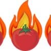 Tomato Flames Stickers