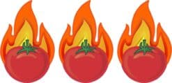 Tomato Flames Stickers