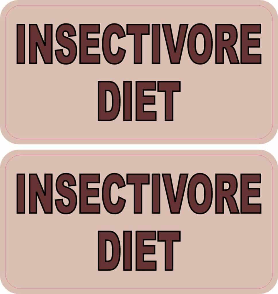 StickerTalk Insectivore Diet Stickers, 4 inches x 2 inches - StickerTalk®