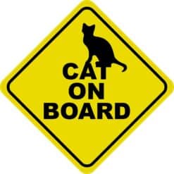 Cat on Board Magnet