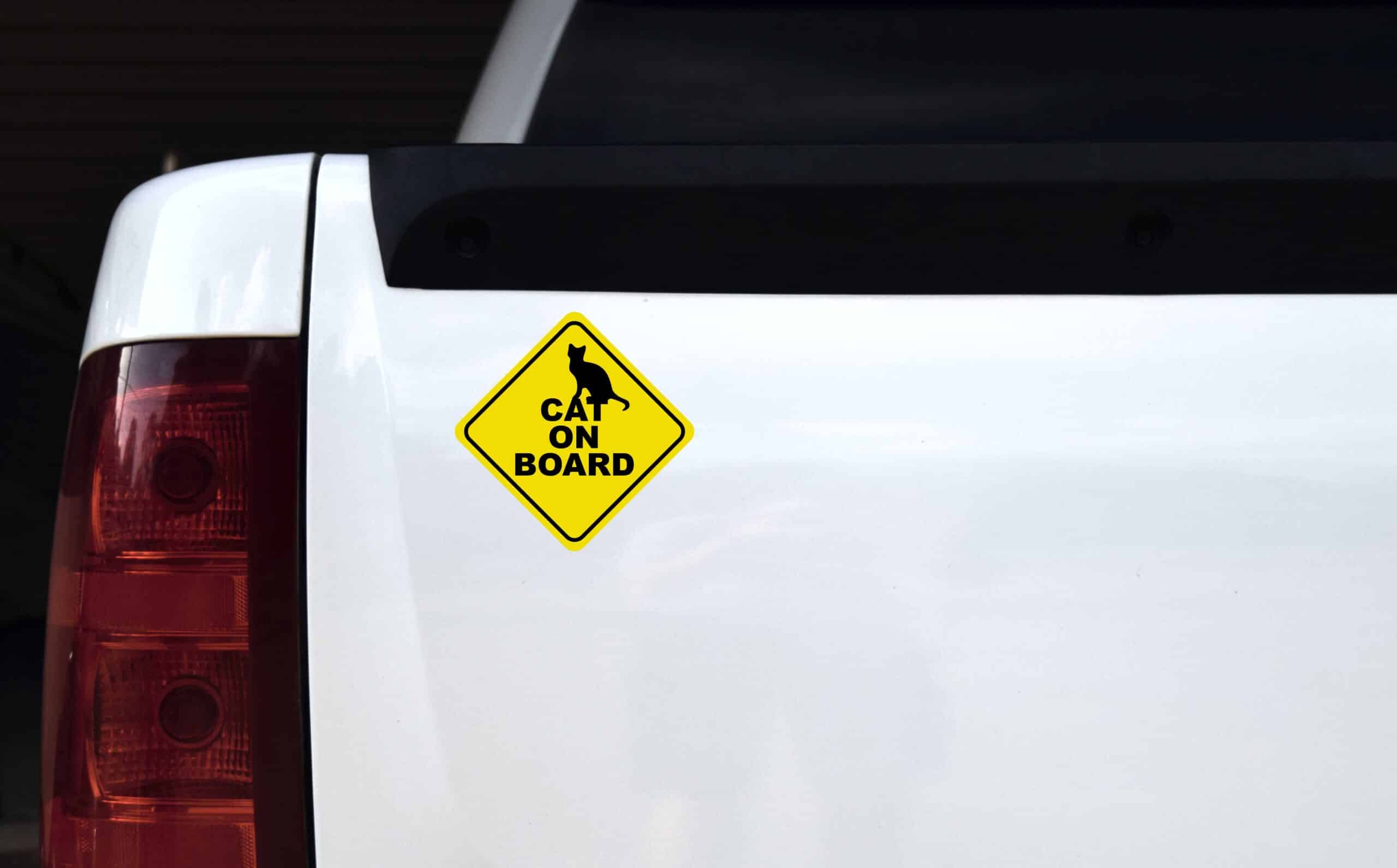 StickerTalk Cat on Board Sticker, 5 inches x 5 inches