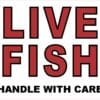 Live Fish Sticker