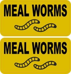Meal Worms Stickers
