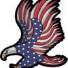 Patriotic Eagle Sticker