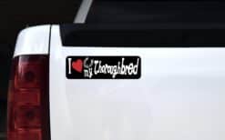 StickerTalk I Love My Thoroughbred Horse Magnet, 10 inches x 3 inches