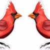 Cardinal Bird Stickers