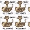 Venomous Not Poisonous Snake Stickers