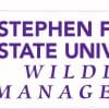 Stephen F. Austin SFA Stickers