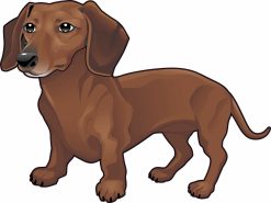 Dachshund Sticker