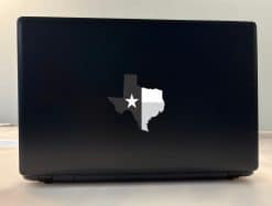 Texas Sticker