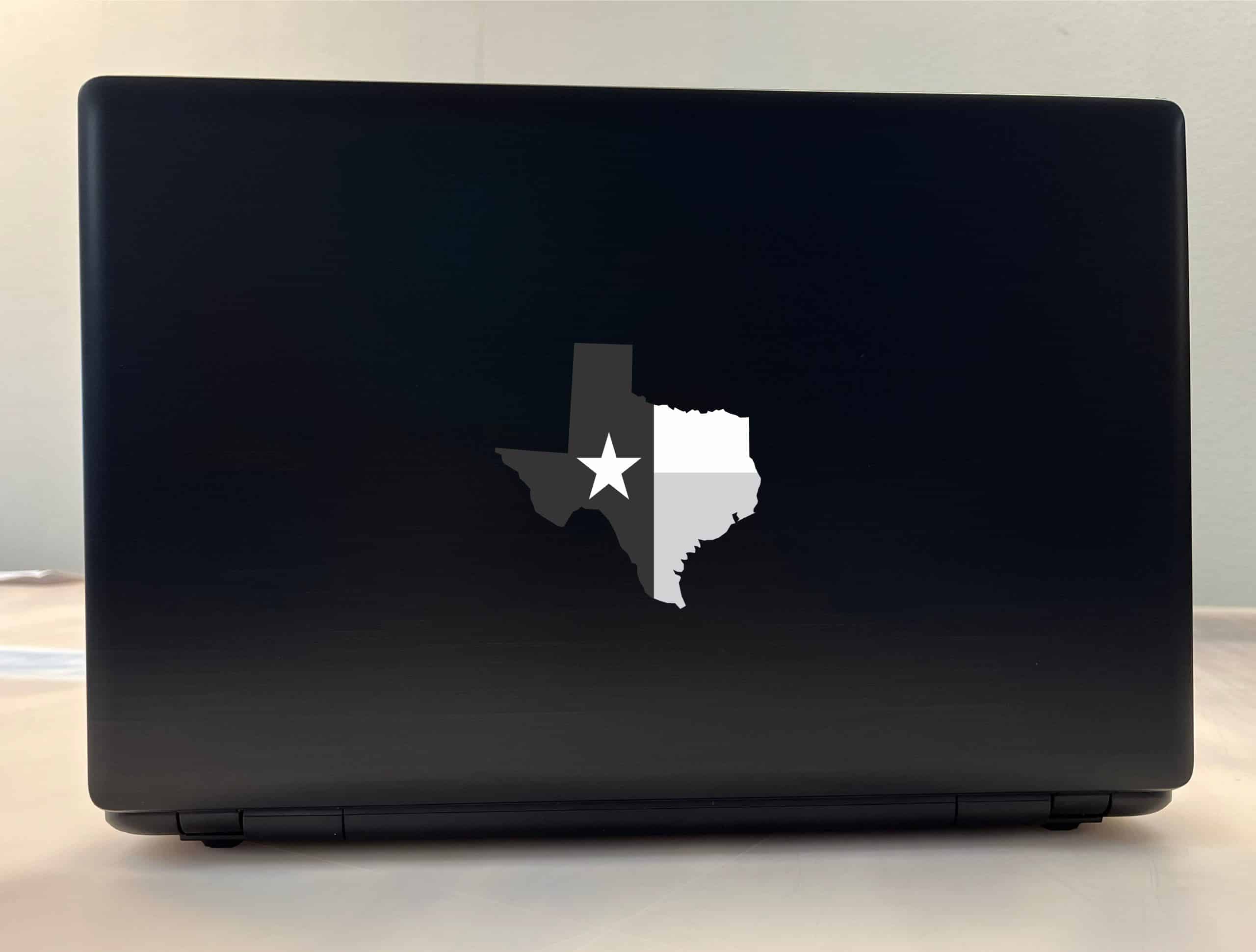Texas Sticker