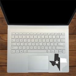 Texas Sticker