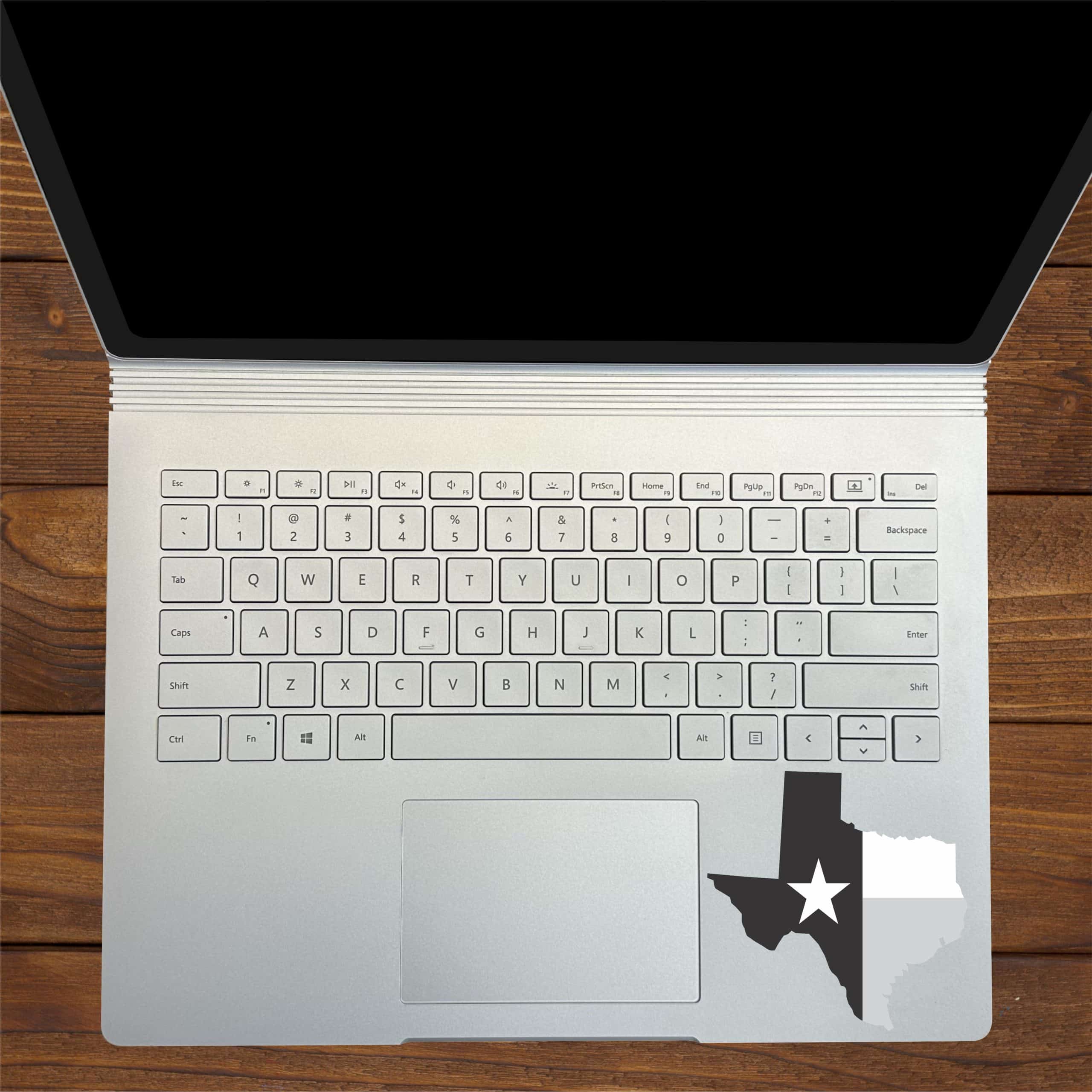 Texas Sticker