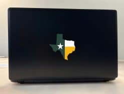 Texas Sticker