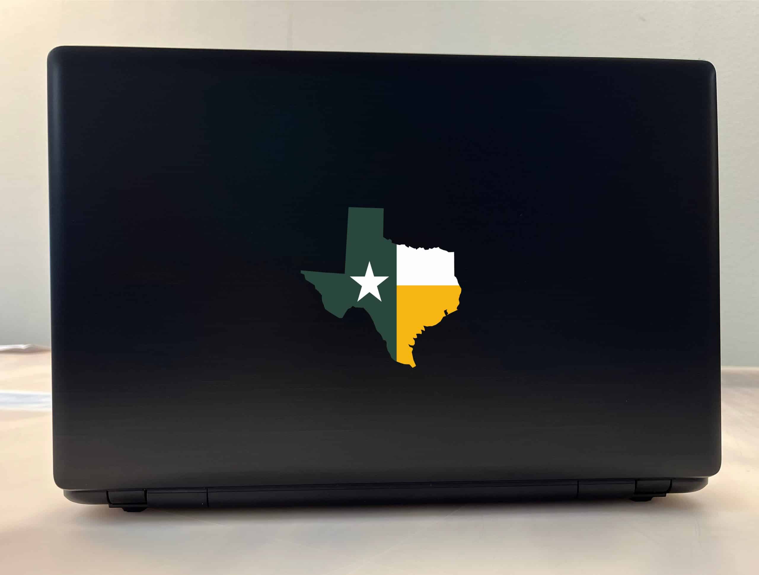 Texas Sticker