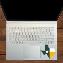 Texas Sticker
