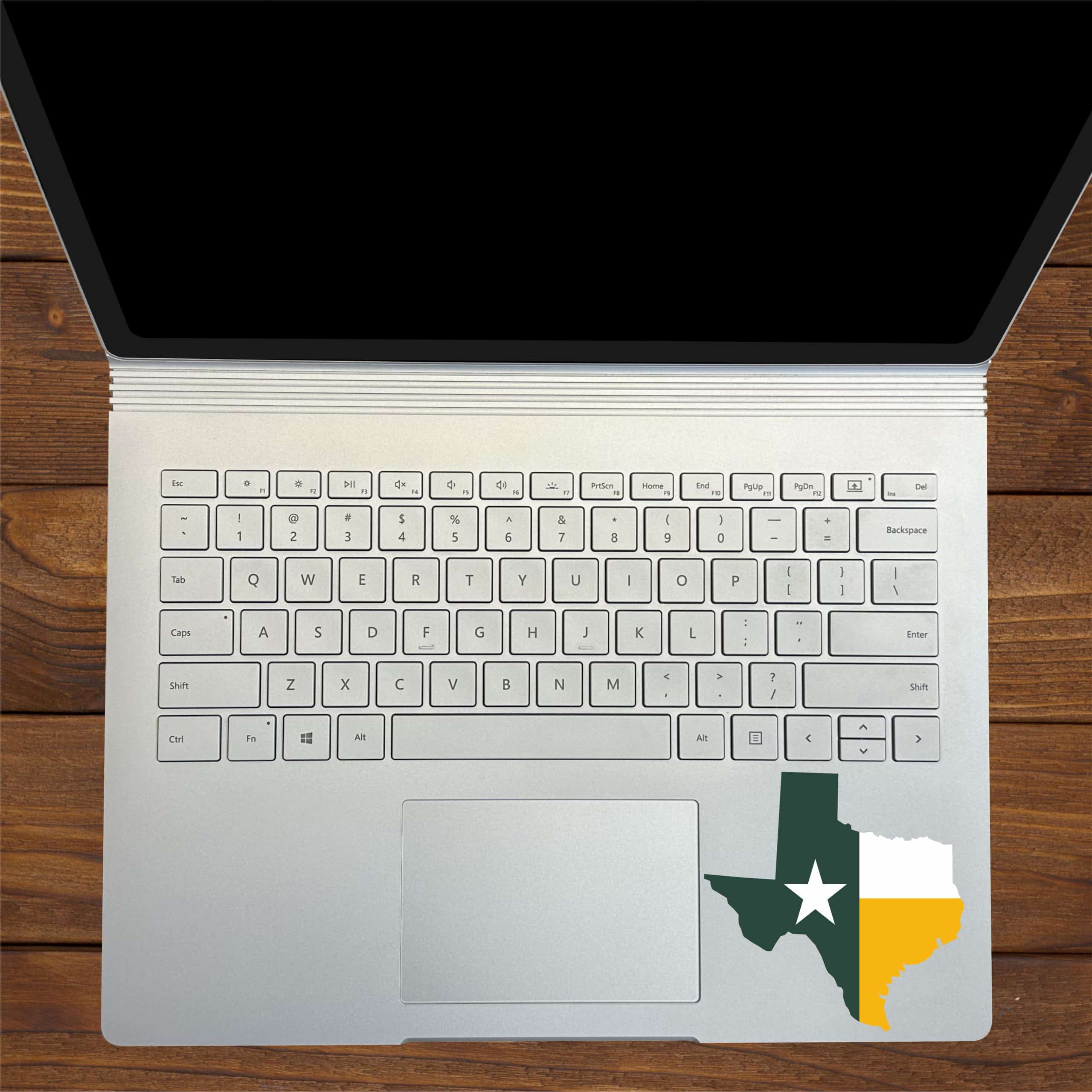 Texas Sticker
